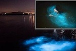 Tour to: Luminous Lagoon/Glistening Water