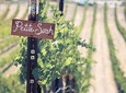 Grapeline's Wine & Picnic Tour - Sonoma