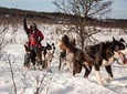 Tromso: Husky Sledding Self-Drive Adventure