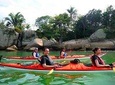 Mangrove and Beach Kayak Tour