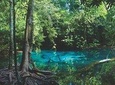 Ao Thalane - Discover the mangrove life
