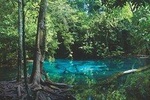 Ao Thalane - Discover the mangrove life