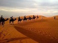 Best of Moroccan Sahara: 5-Day Guided Tour from Marrakech