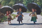 Sapa Trekking Villages & Homestay tours 3 days, 2 nights depart from Hanoi