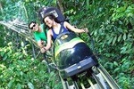 Jamaica Bobsled & Dunn's River Falls Adventure Tour from Port Antonio