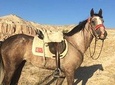 4-Hour-Horsebackriding-Tour through Cappadocia