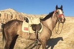 4-Hour-Horsebackriding-Tour through Cappadocia