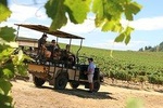 Full-Day Stellenbosch 4x4 Wine Safari and Wine Tasting Voyage Private Tour