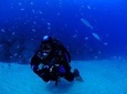 Lisbon Eco-Try Dive - Diving Baptism