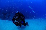 Lisbon Eco-Try Dive - Diving Baptism