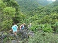 Trekking Catba And Cruising Lan Ha Bay 3 Days 2 Nights