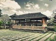 Ubud Highlight Tour