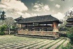 Ubud Highlight Tour