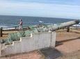 Port Elizabeth Wildside Scenic Drive 