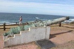 Port Elizabeth Wildside Scenic Drive 