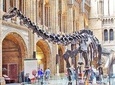 Kid-Friendly Natural History Museum & Dinosaurs Private Guided Tour in London