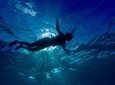 Buccoo Reef and Nylon Pool Adventure