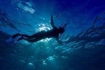 Buccoo Reef and Nylon Pool Adventure