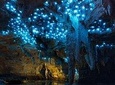Auckland to Waitomo Caves Private Tour