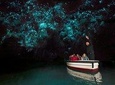 Auckland to Waitomo Caves and Hobbiton Movie Set Private Tour
