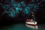 Auckland to Waitomo Caves and Hobbiton Movie Set Private Tour