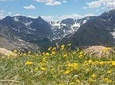 Rocky Mountain National Park Summer