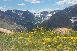 Rocky Mountain National Park Summer