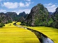 Ninh Binh, Hoa Lu,Tam Coc, Mua Cave Day Tour: Hiking mountain, boat trip, Biking