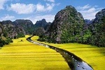 Ninh Binh, Hoa Lu,Tam Coc, Mua Cave Day Tour: Hiking mountain, boat trip, Biking