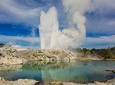 Auckland to Rotorua Private Tour