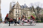 Central Park Carriage Ride to the Boathouse, Tavern on the Green
