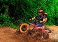 Atvs, Ziplines and Cenote from Cancun or Riviera Maya lunch and water included 