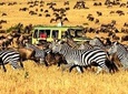 7 Days Luxury Lodge Safaris