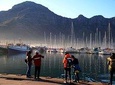 FULL Day Cape of Good Hope and Boulders Penguin Colony
