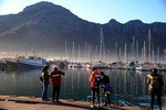 FULL Day Cape of Good Hope and Boulders Penguin Colony
