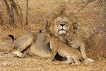 3 Days 2 Nights in Maasai Mara via The Great Rift Valley