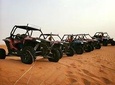 Dune Buggy Private Adventure - Sand boarding & Camel Riding