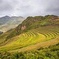 Full day Sacred valley tour with buffet lunch