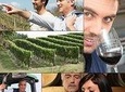 Private Wine Tours (Minimum of 2 and Maximum of 6 people) Pickup Maximum 30 Mi 