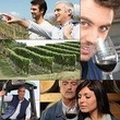 Private Wine Tours (Minimum of 2 and Maximum of 6 people) Pickup Maximum 30 Mi 
