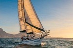 Sailing in The Bay (One Hour)