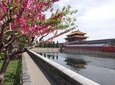 Small Group Tour: Forbidden City & Mutianyu Wall & Authentic Chinese Lunch