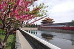 Small Group Tour: Forbidden City & Mutianyu Wall & Authentic Chinese Lunch