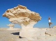 4 Days White Desert and Bahariya Oasis Tour