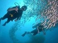 Discover SCUBA Diving