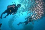 Discover SCUBA Diving