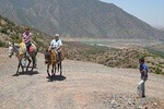 Ouirgane Day Trip Mule trek From Marrakech