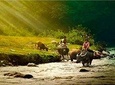 Pu Luong Nature Reserve & Mai Chau Valley 3Days -2nights
