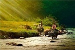 Pu Luong Nature Reserve & Mai Chau Valley 3Days -2nights