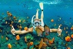 Bali Snorkeling Tour at Blue Lagoon Beach: All-Inclusive